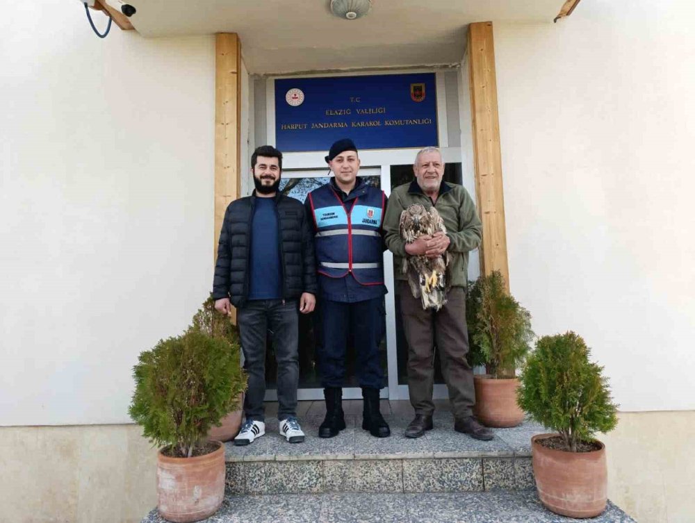 Elazığ'da yaralı kaya kartalına jandarma şefkati