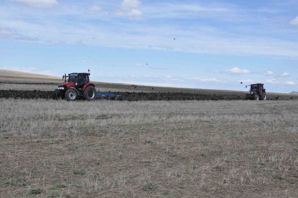 Kars’ta 270 bin hektarı aşkın alanda hububat ve yem bitkisi ekimi yapılmaya başlandı