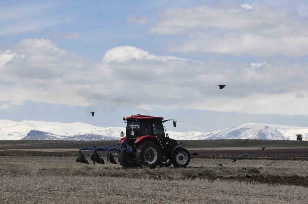 Kars’ta 270 bin hektarı aşkın alanda hububat ve yem bitkisi ekimi yapılmaya başlandı