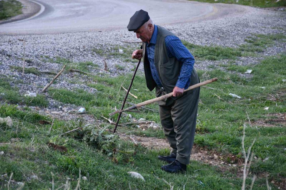 Vatandaşlar Herekol Dağı’nda pancar topladı