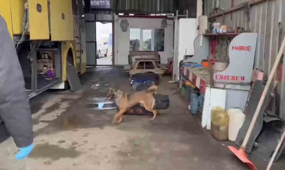 Erzurum'da uyuşturucuya geçit verilmedi