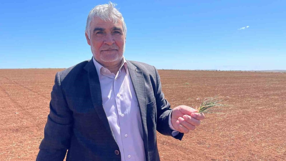 Urfa’da kuraklık alarmı