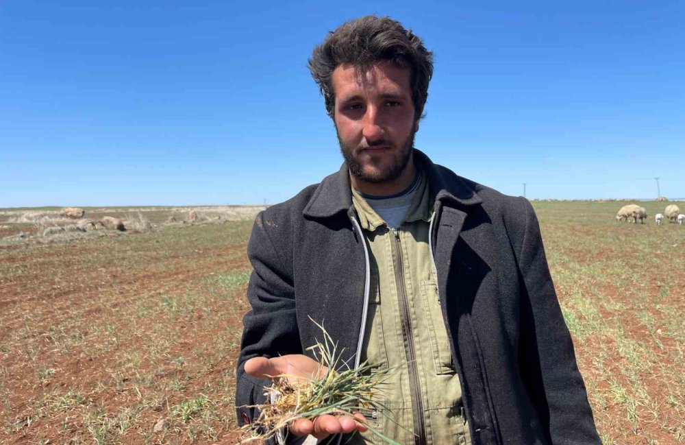 Urfa’da kuraklık alarmı