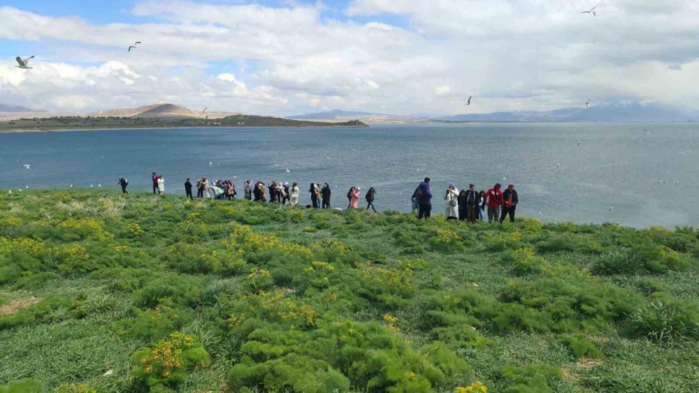 Van Gölü’nün doğal güzelliği Çarpanak Adası