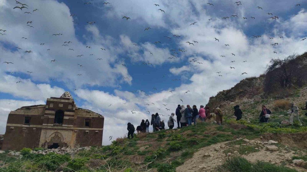 Van Gölü’nün doğal güzelliği Çarpanak Adası