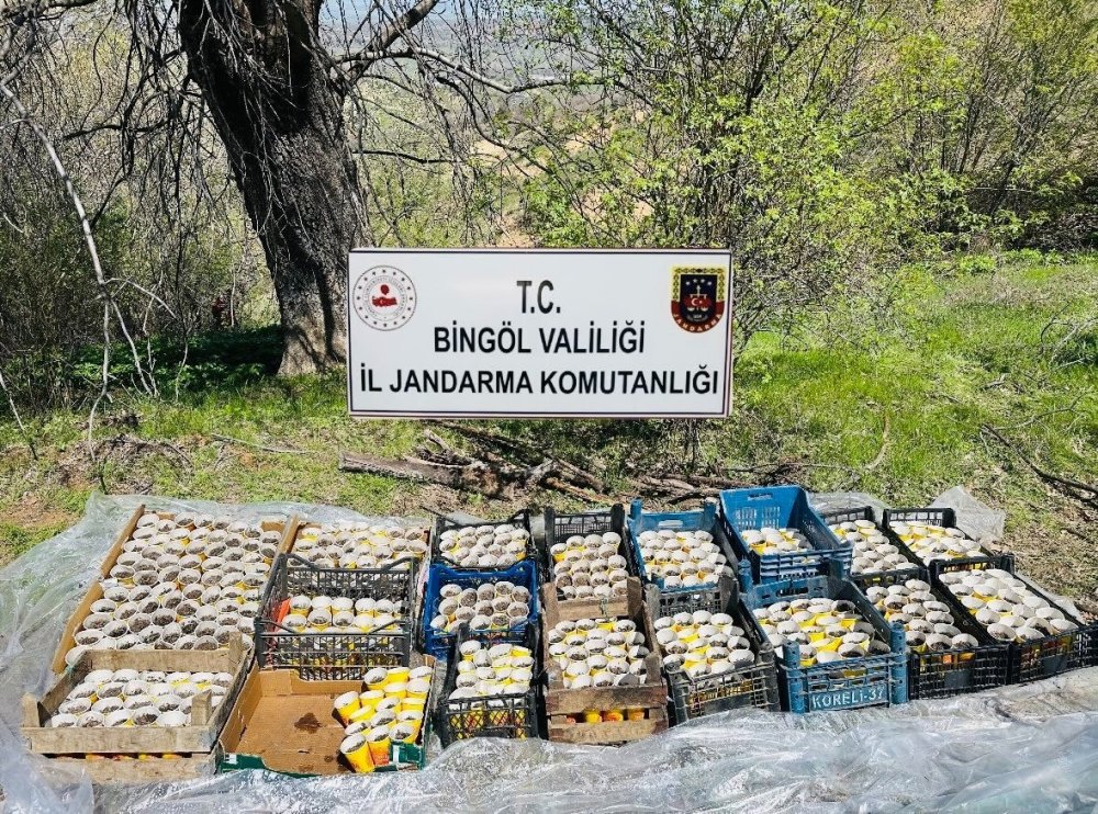 Bingöl’de aranan 2 şahıs yakalandı