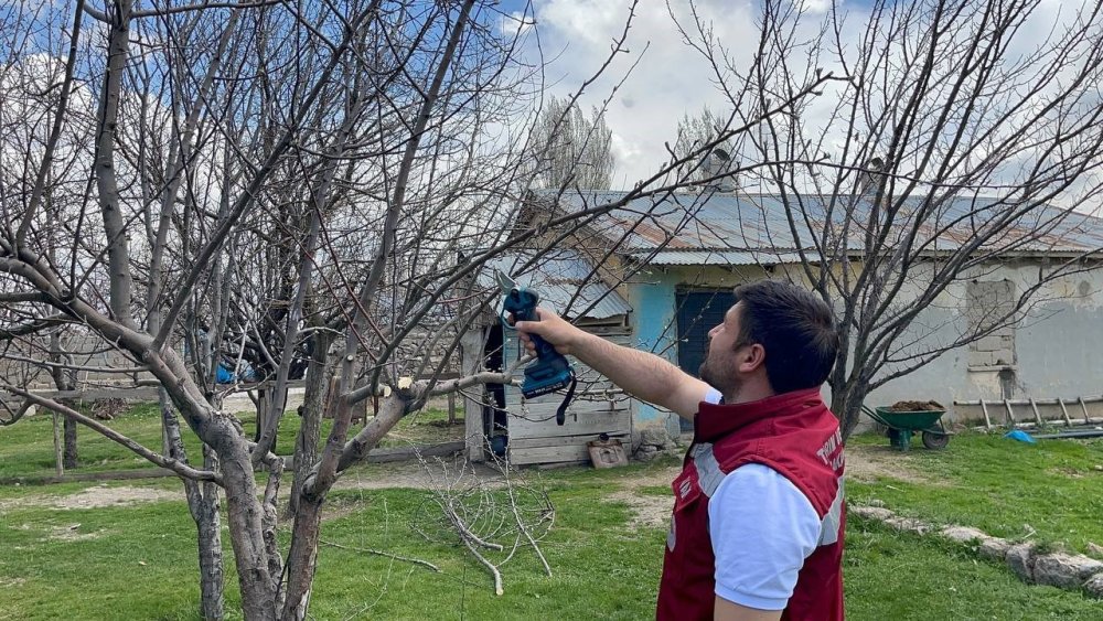 Muradiye'de meyve ağaçları için budama eğitimi verildi