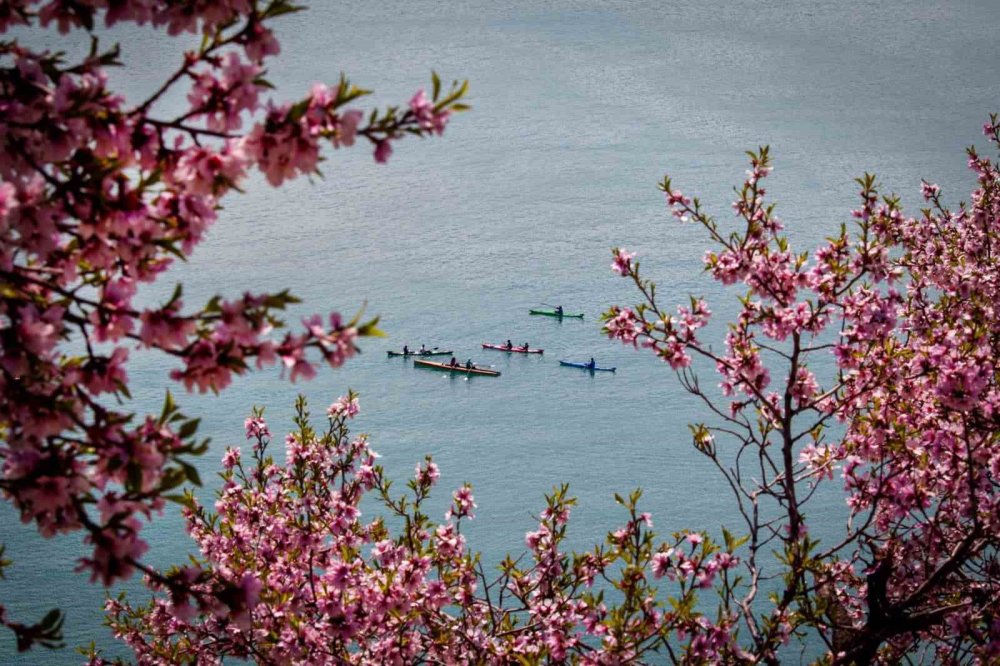 Yahya Taşpınar'ın fotoğrafı Akdamar Adası Badem Çiçeği Foto Safarisinde birinci oldu