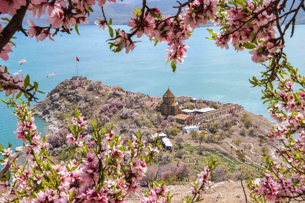 Yahya Taşpınar'ın fotoğrafı Akdamar Adası Badem Çiçeği Foto Safarisinde birinci oldu