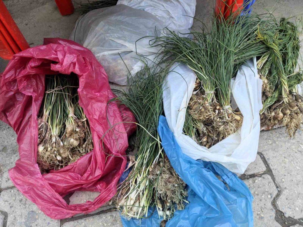 Zuzubak otunun kilosu 10 bin TL’ye satılıyor