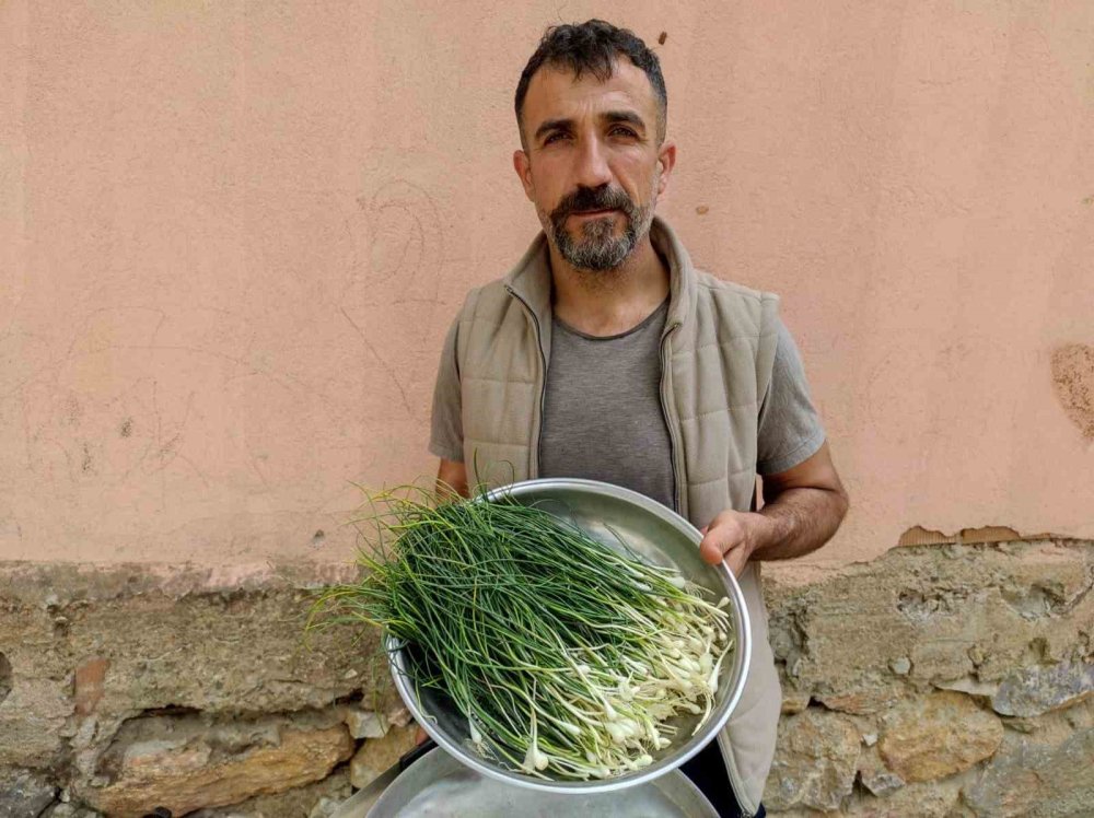 Zuzubak otunun kilosu 10 bin TL’ye satılıyor
