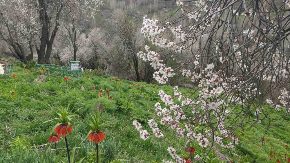 3 bin rakımda kış, bin 850 rakımda bahar