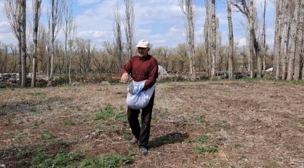 Akyaka’da elle tohum serpme geleneği sürüyor
