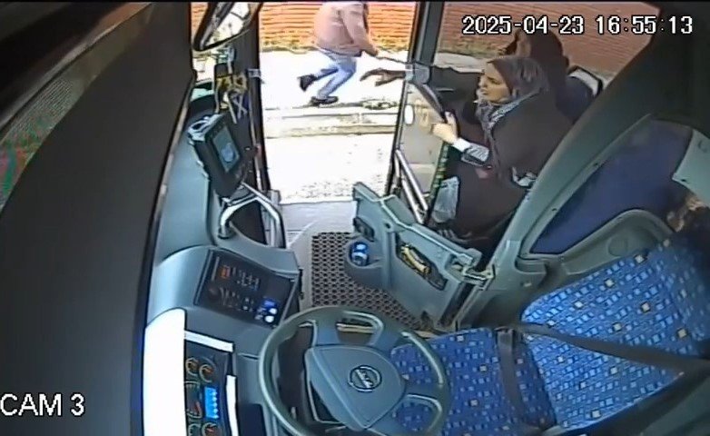 Bingöl'de yola çıkan ineği uzaklaştırmak isterken neye uğradığını şaşırdı