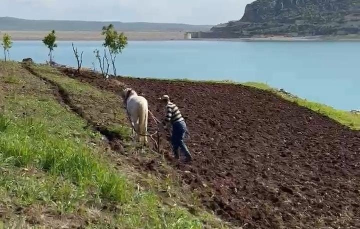 Dicle’de geleneksel tarım