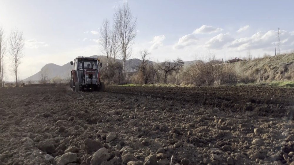 Erzincan’da patates ekimine başlandı