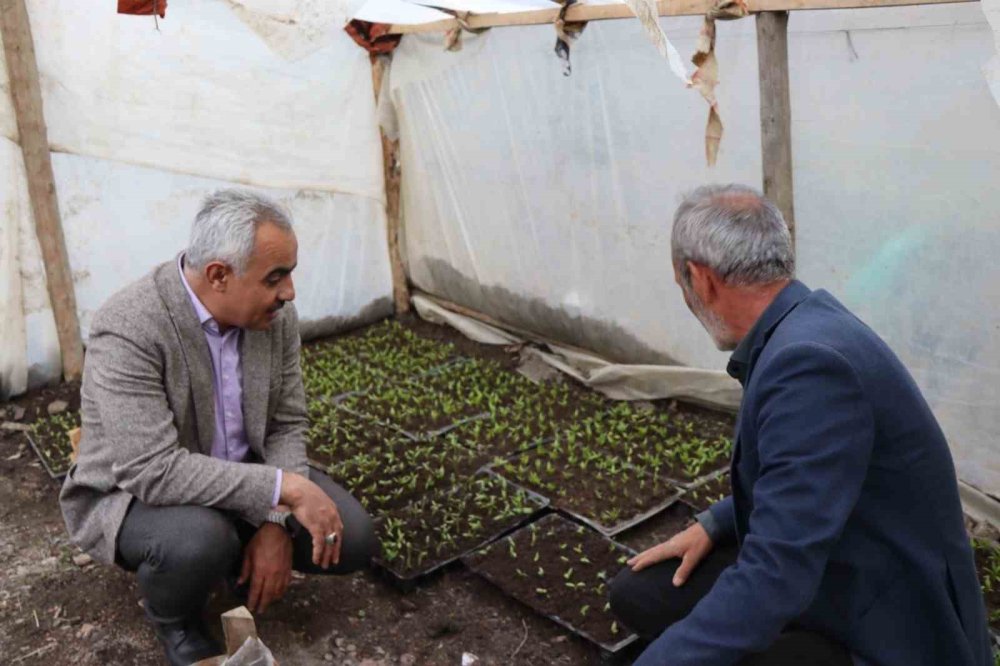 Erzurum'da fidelerini kendileri yetiştiriyorlar
