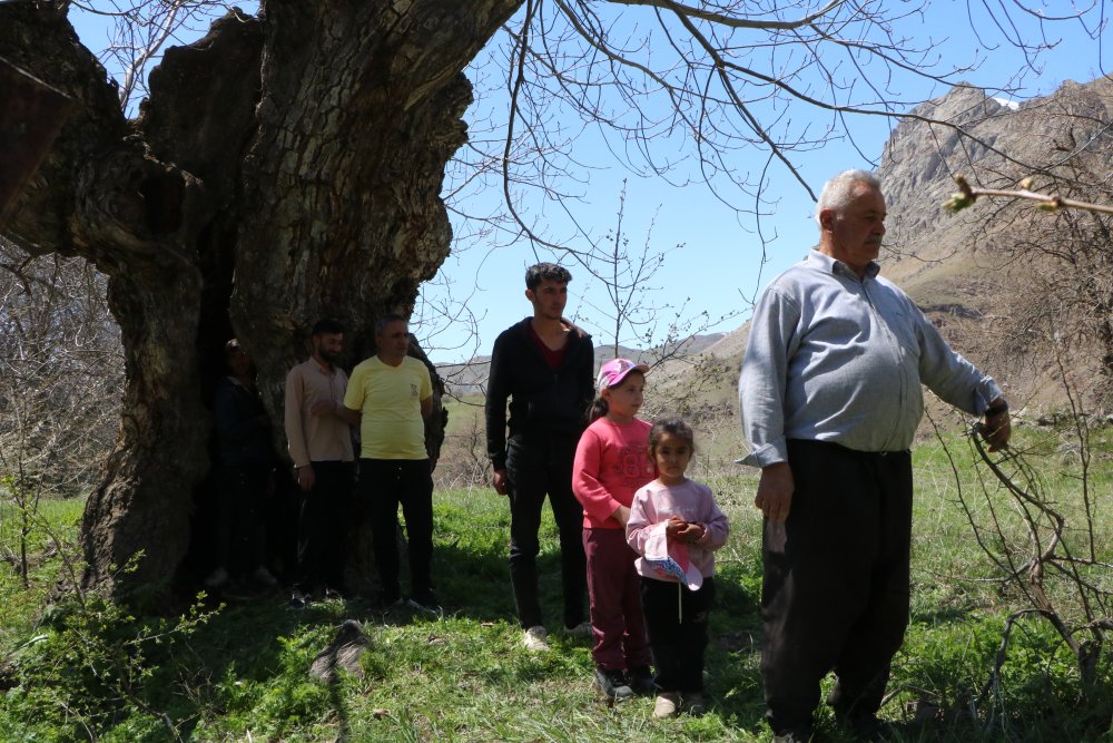 Durankaya'da asırlık ceviz ağacının kovuğuna 12 kişi sığdı