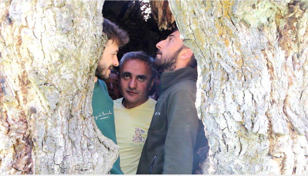 Durankaya'da asırlık ceviz ağacının kovuğuna 12 kişi sığdı