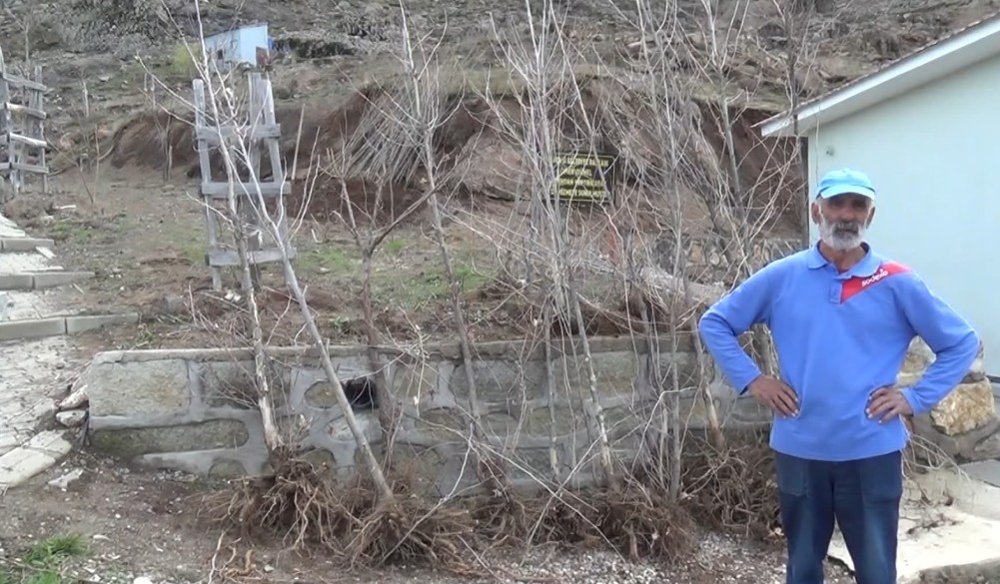 Yurt dışında yaşayan Dersimli iş adamı her yıl memleketine ağaç diktiriyor