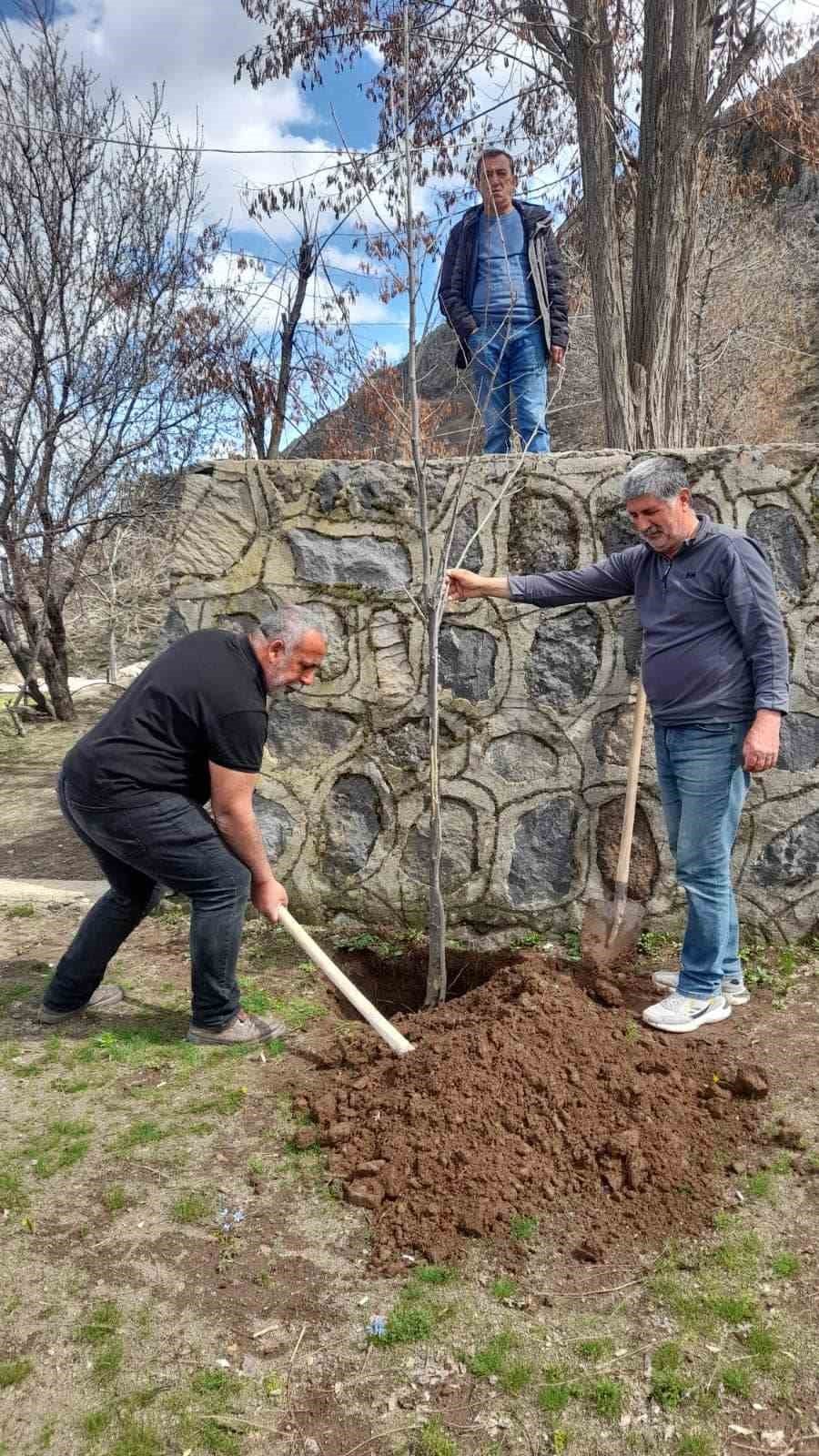 Yurt dışında yaşayan Dersimli iş adamı her yıl memleketine ağaç diktiriyor