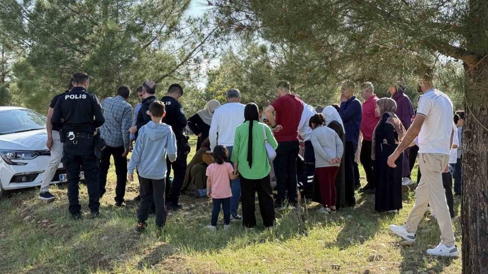 Direksiyon eğitimi yaparken yürüyüş yapan çifte ve ağaca çarptı