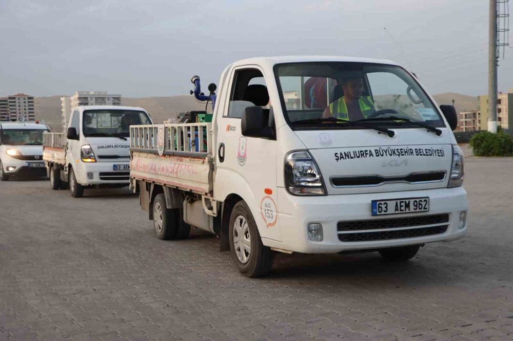 Urfa'da vektörle mücadelede önlemler arttırıldı