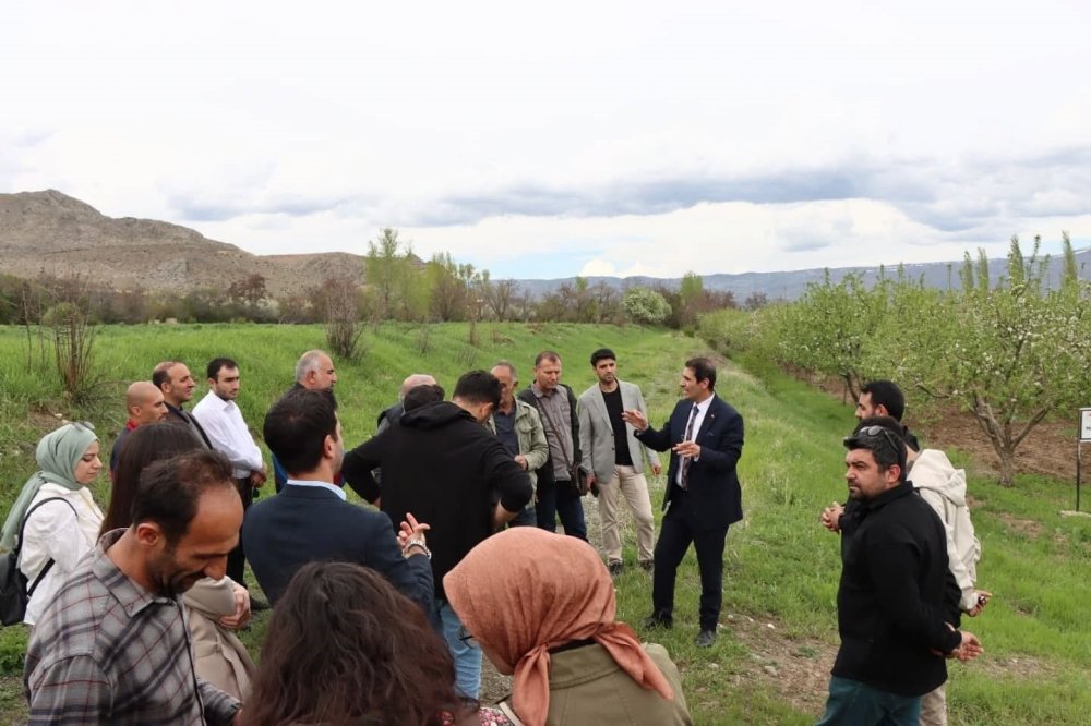 Erzincan'da "Bölgesel Süne ve Kahverengi Kokarca Eğitim Toplantısı" düzenlendi