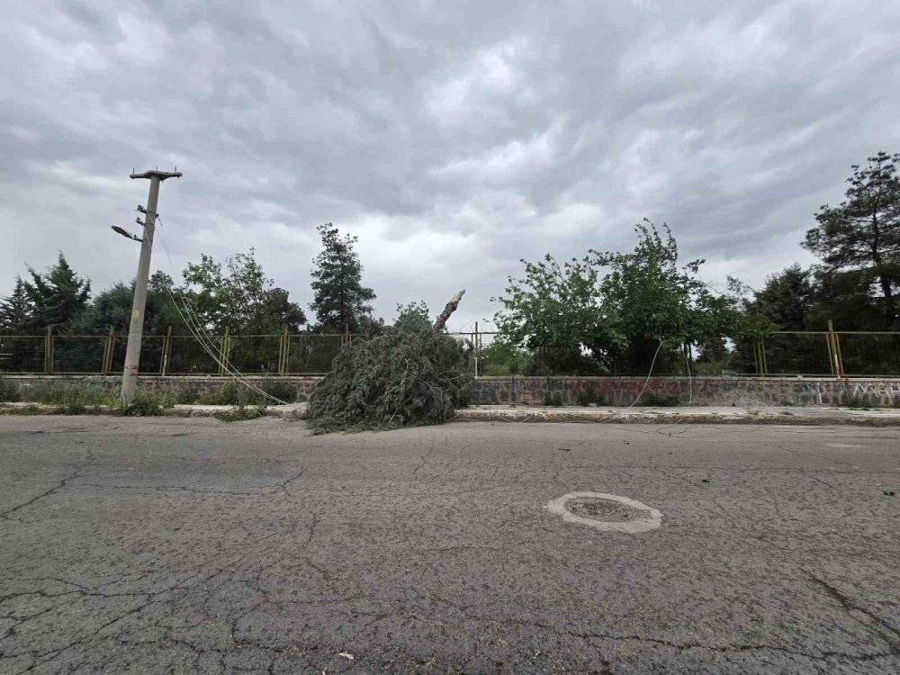 Diyarbakır’da rüzgar çatıları uçurdu