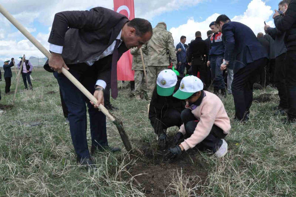 Kars’ta meyve ağaçları ekildi