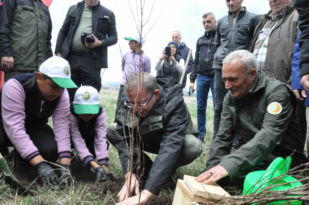 Kars’ta meyve ağaçları ekildi