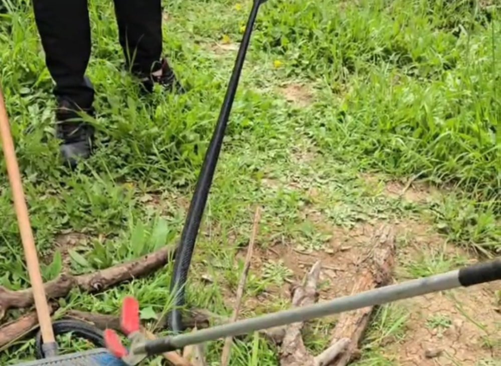 Odun almaya giden kadın iki metre uzunluğunda yılan gördü