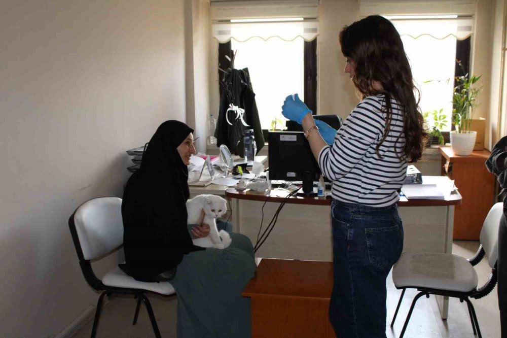 Tercan’da mikroçip çalışmaları sürüyor