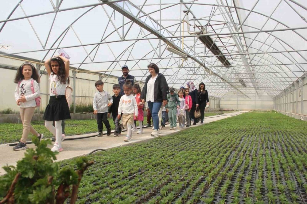Van'da minik öğrenciler seralarda doğayla buluştu