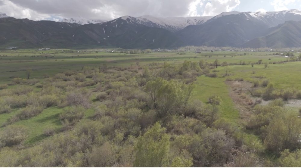 Yüksekova’da karların erimesiyle ovalar yeşile büründü