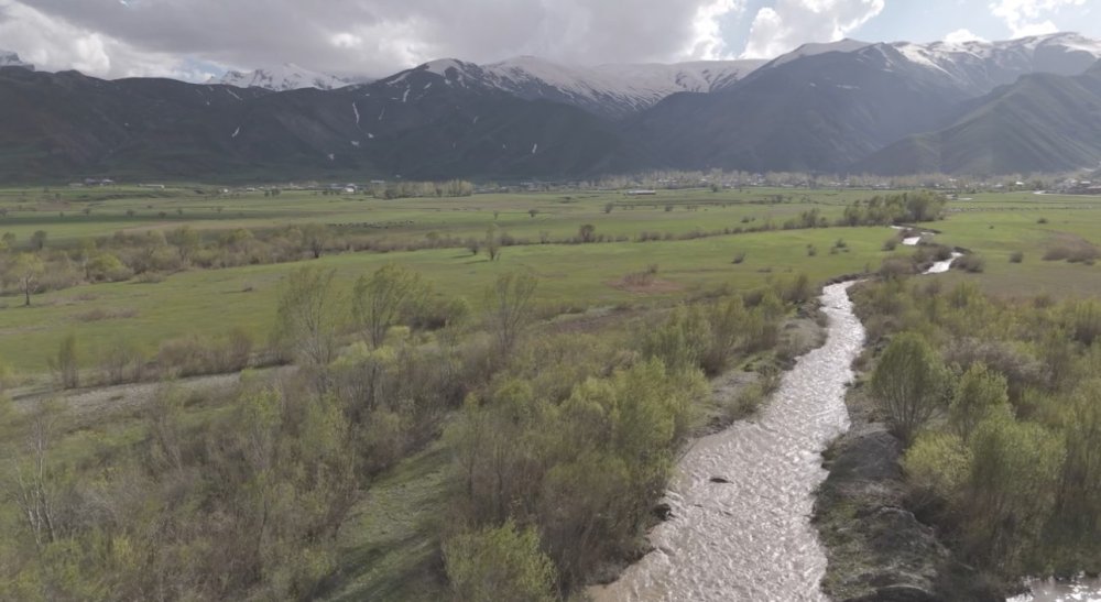 Yüksekova’da karların erimesiyle ovalar yeşile büründü