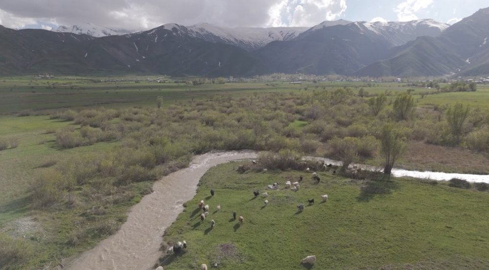 Yüksekova’da karların erimesiyle ovalar yeşile büründü