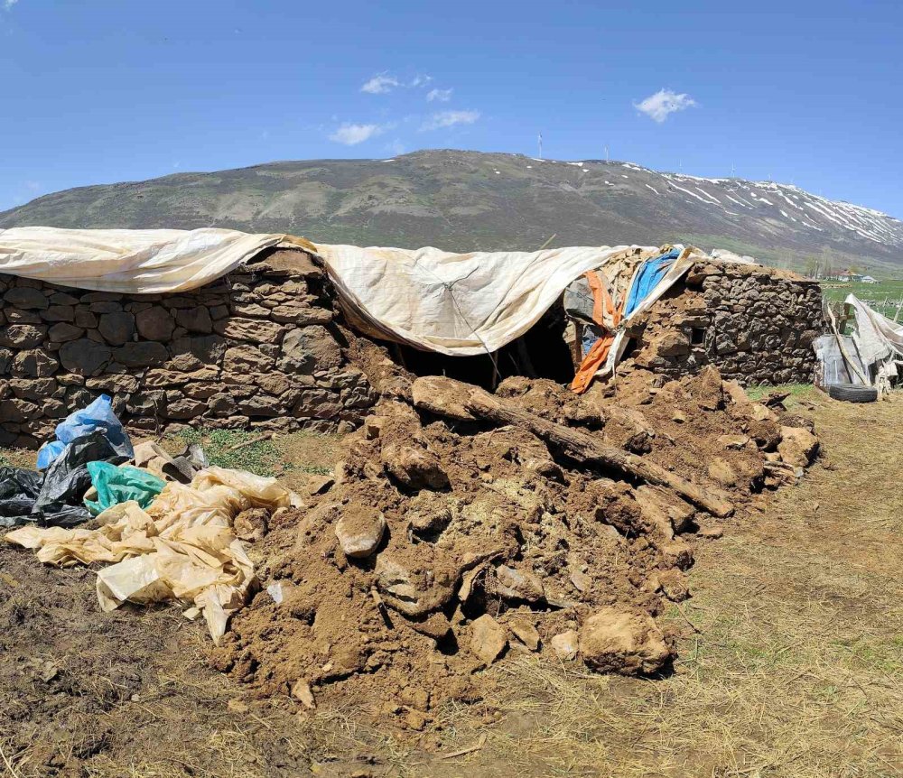 Karlıova'da fırtına ve sağanak nedeniyle ahır çöktü