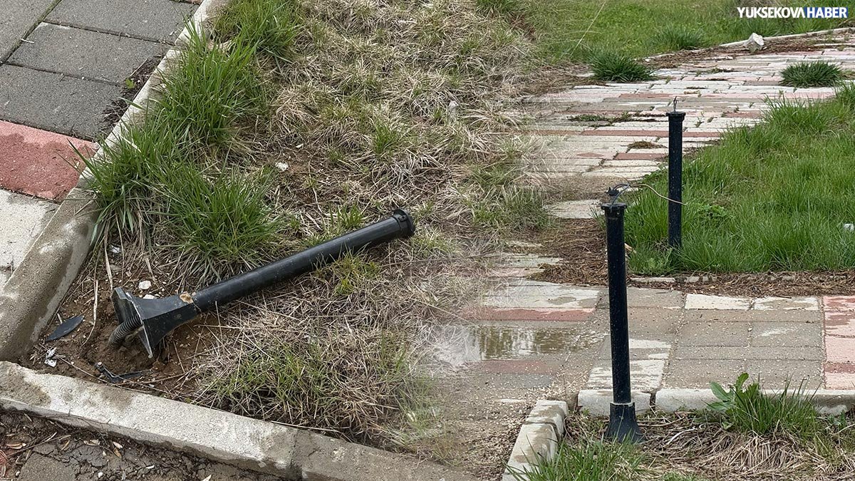 park3.jpg