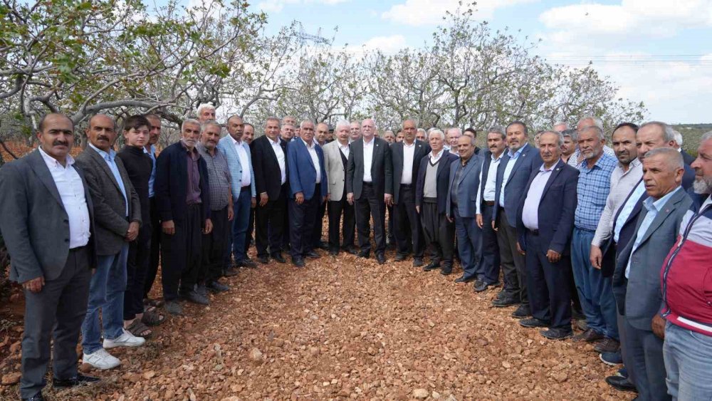 TZOB Genel Başkanı Bayraktar, Antep’te dondan etkilenen bahçeleri inceledi