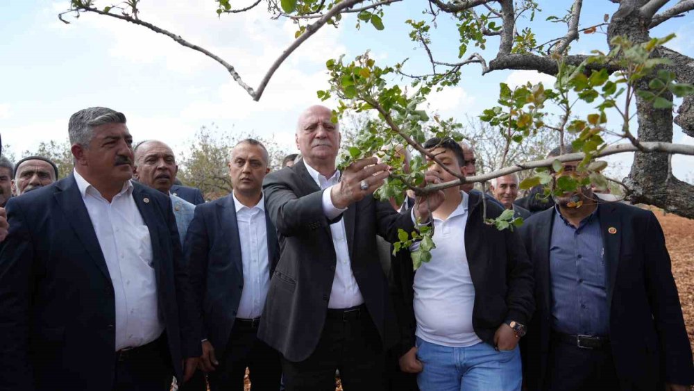 TZOB Genel Başkanı Bayraktar, Antep’te dondan etkilenen bahçeleri inceledi