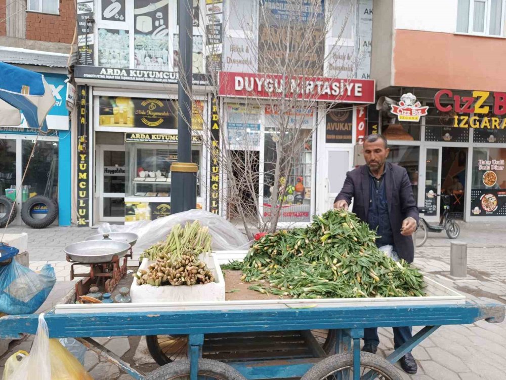 Ağrı'da baharın müjdecisi ışkın ve çiriş tezgahları süslüyor