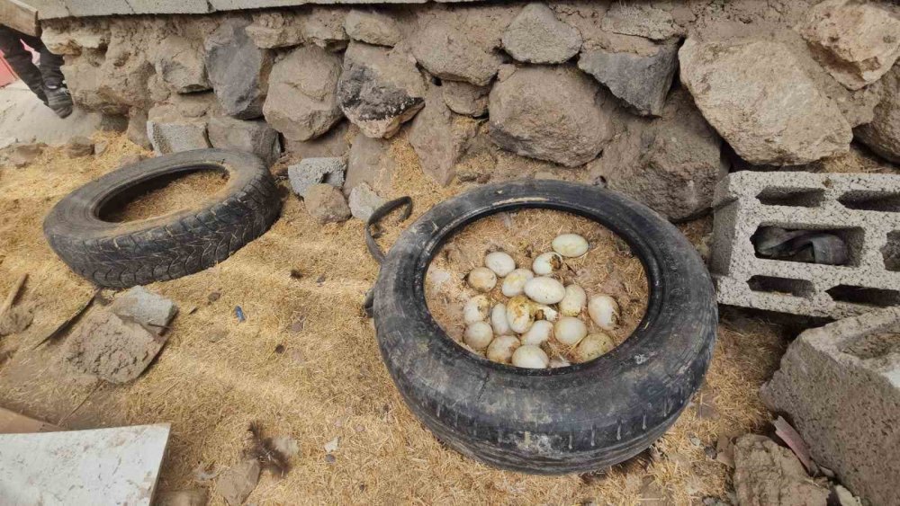 Bitlis'te fırtına çatıları uçurdu