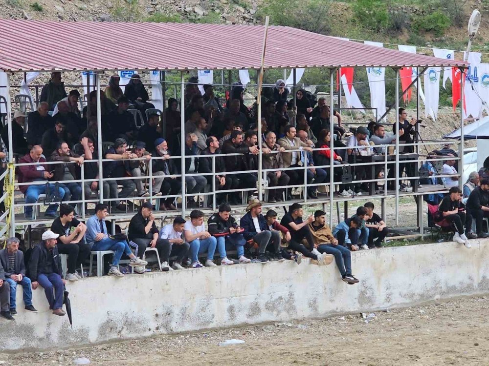 Erzurum'da boğalar sahada sahipleri saha dışında birbirine girdi