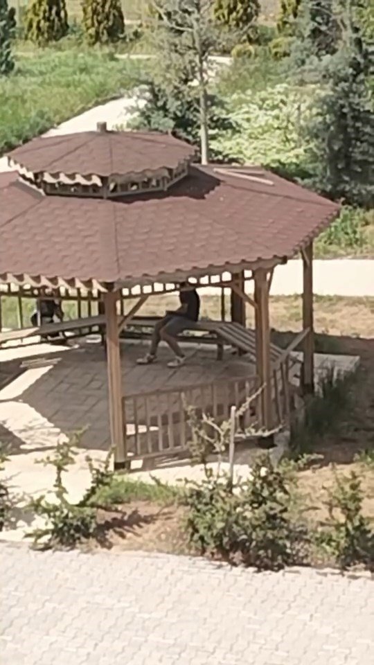 Park vandalları her yerde: Elazığ’da kamelyalara zarar verdiler