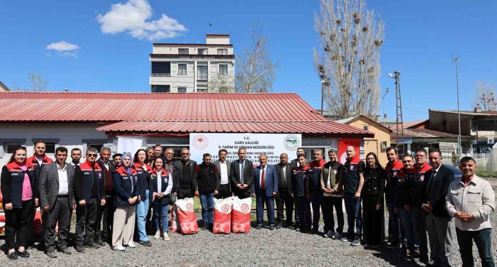 Kars’ta yağlık ayçiçeği üretiminde artış