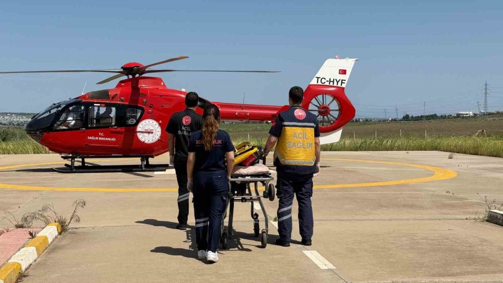 Kulp'ta ağaçtan düşen şahıs helikopterle hastaneye nakledildi
