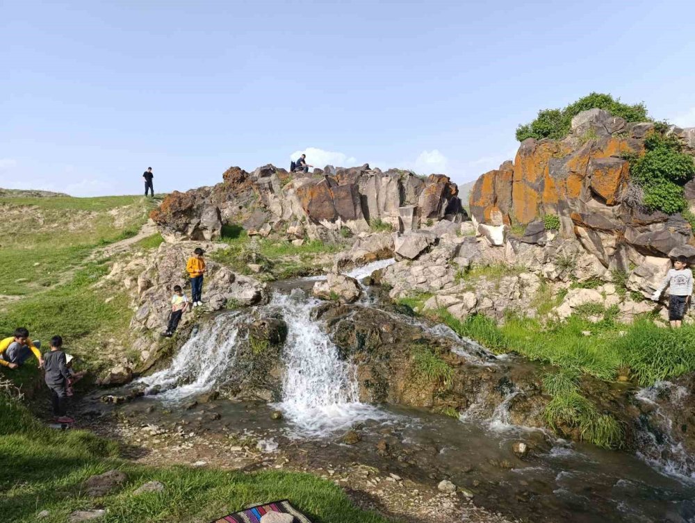 Martıların inci kefali ’nöbeti’ başladı