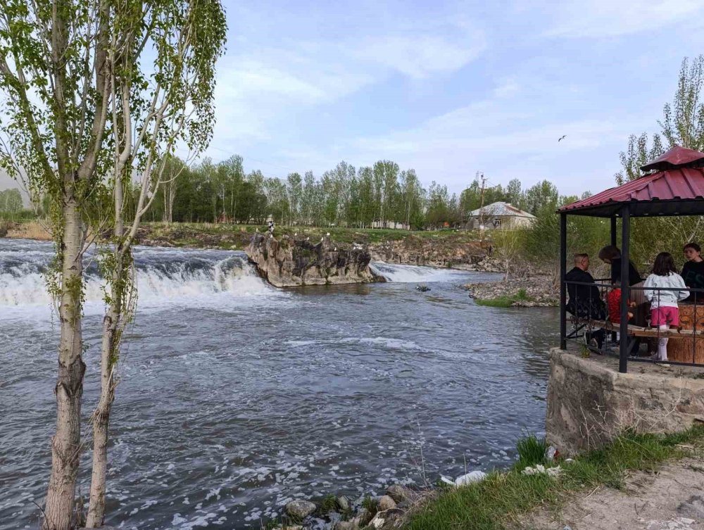 Martıların inci kefali ’nöbeti’ başladı