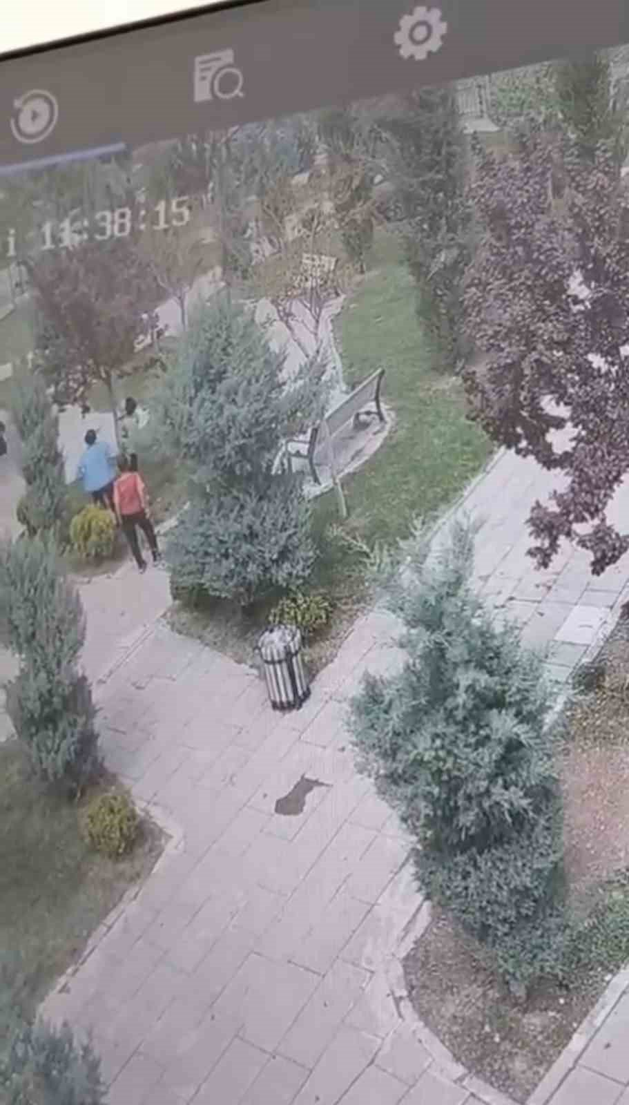 Mazıdağı'nda ağaçlara zarar veren bir grup genç, güvenlik kameralarına yakalandı